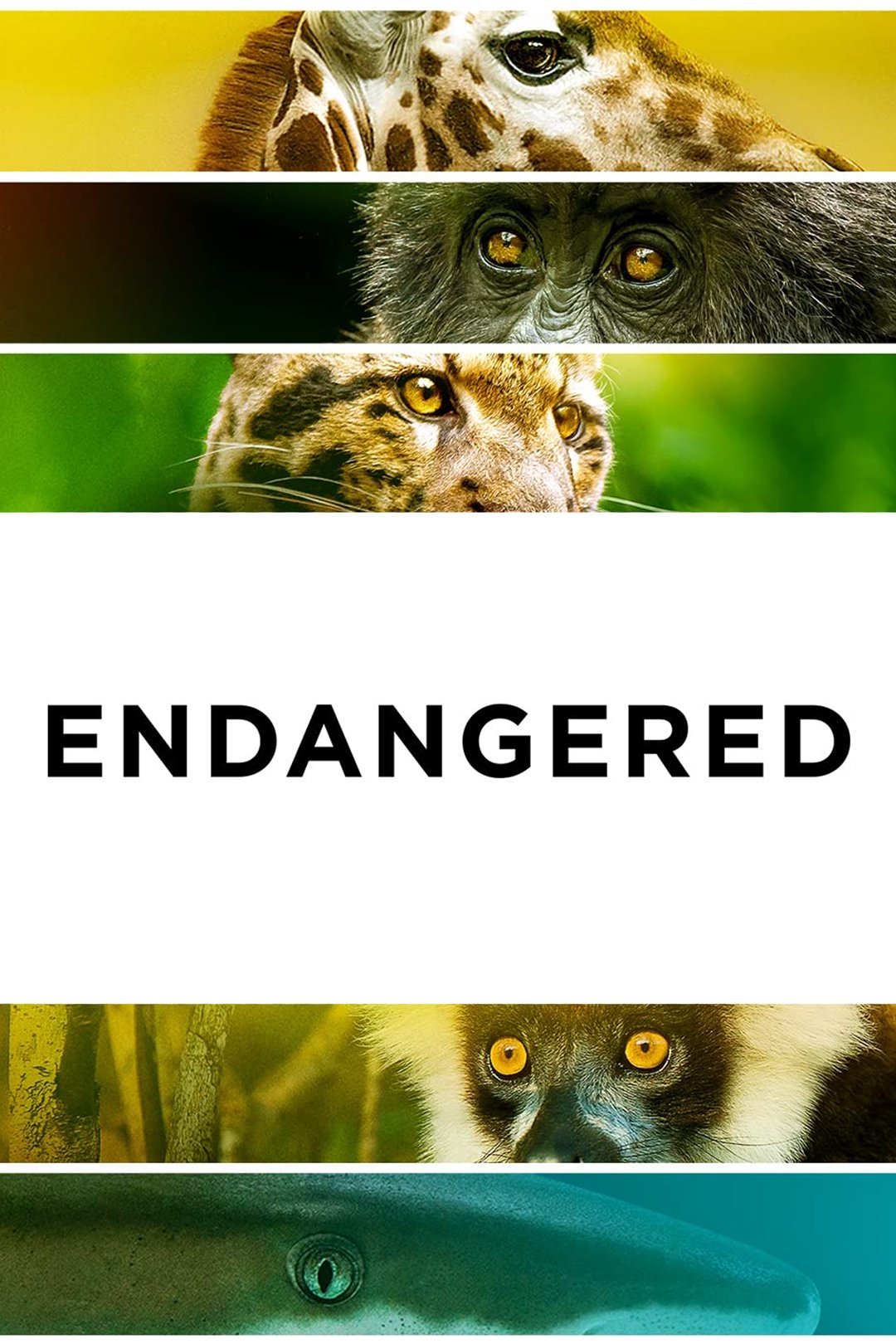 Постер Endangered